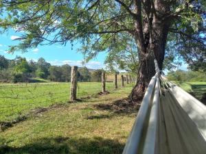 Maison de Lavande Farmstay