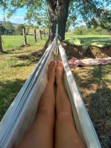 Maison de Lavande Farmstay