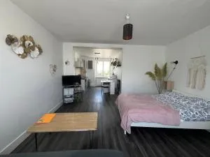 joli T1 avec parking gratuit - Guilers