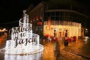 Apartman Vinkov's center - Rika