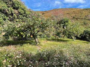 Grande maison vue mer exceptionnelle