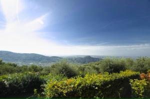 Villa il Ciliegio by Nicola Real Estate