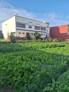 Casa olivos villa 100m de la plage