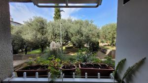 Apartman Antica 