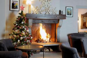 Hotels Hotel d'Angleterre : photos des chambres