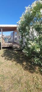 Maisons de vacances Bungalow spacieux avec piscine a Lattes : photos des chambres