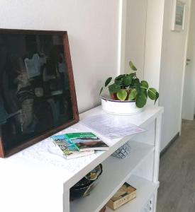 Blue Design Apartment