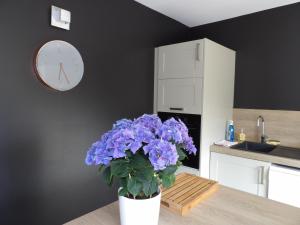 Maisons d'hotes Aux Herbes Hautes : photos des chambres
