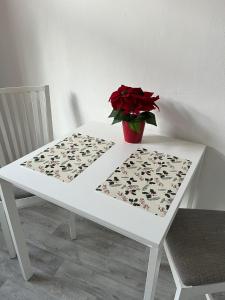 Apartmán Pisek centrum