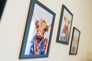 Milton of Tullypowrie Cottage