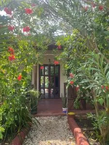 Zanzllywood Hotel and Apartments - 米查维