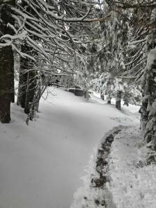 Apartma Rogla Gaber 63