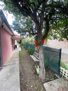 Apartman MILI