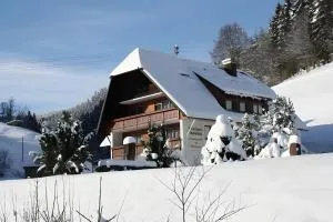 阿布斯巴赫塔尔宾馆 - Tös