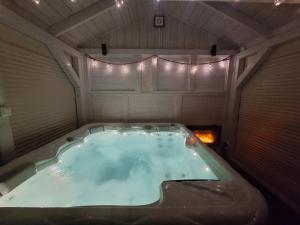 Mountain Spring- Apartamenty Premium 4-8 os z jacuzzi, sauną i basenem w cenie - widok na góry