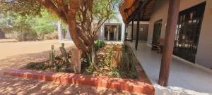 Vivo Lodge - Alldays