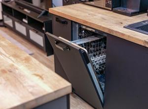 Brzozowy Dwór Apartament I