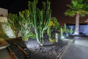 BLASCO by Buenavilla