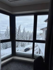 Passion & Sense Studios Pamporovo