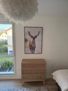 Appartements L-Albertine proche Colmar : photos des chambres