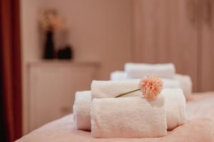 Appartamento Dolomiti Dream 2