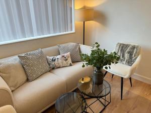 Central Beautiful renovated Flat incl Parking