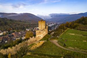 Appartements Origin'alsace : photos des chambres