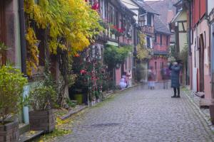 Appartements Origin'alsace : Appartement Standard