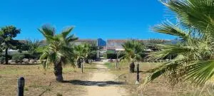 Corse Villa bord de mer - 切尔维奥内