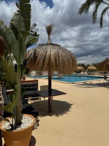 Orange Colom - Seaside Apartments