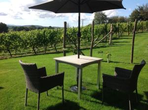 Vineyard lodge in Herefordshire