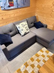 Appartements Modern Comfortable Chalet with large terrace : photos des chambres