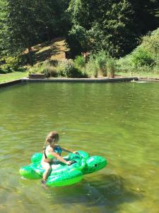 Maisons de vacances Le Saint moulin de La Petite Pierre : photos des chambres