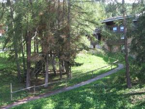 Studio divisible pour 4 pers, vue sur sapins, animaux admis - FR-1-353-90