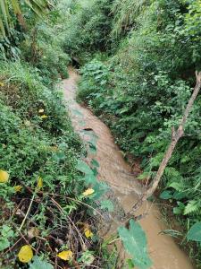 Shivalaya Homestay, Madikeri