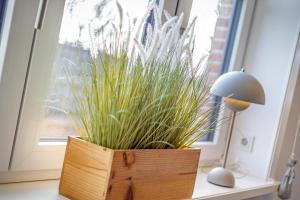 Marts Hus II - Ihr Sylter Ferientraum in Westerland