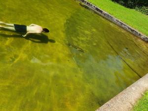 Maisons de vacances Le Saint moulin de La Petite Pierre : photos des chambres