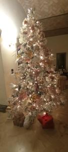 B&B Villa delle Palme