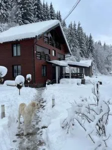 Cabana Briana - Statjunea Borşa