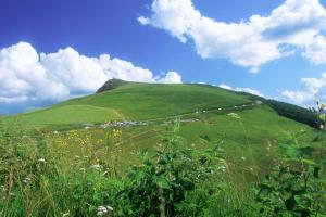 Maisons de vacances Spacious apartment close to skiing and nature ! : photos des chambres