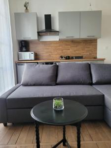 Appartements Au fil de la Loire : photos des chambres