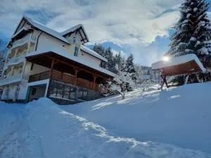 Pensiunea Casa Bradet - Şanţ