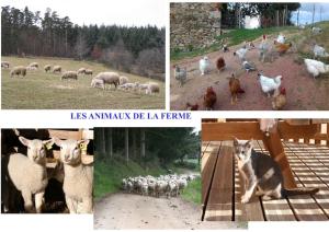 Maisons de vacances Gite La ferme de Taverne-Piscine privee chauffee : photos des chambres