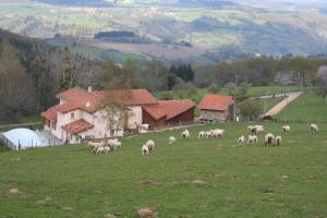 Maisons de vacances Gite La ferme de Taverne-Piscine privee chauffee : photos des chambres