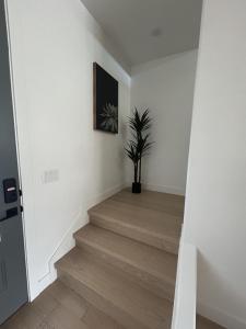 Zions Observation at Sand Hollow