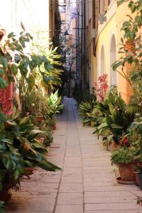 Frore di Castello img20