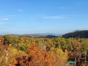 Running Bear Near PF Hot Tub Game Room Theater and Stunning Views