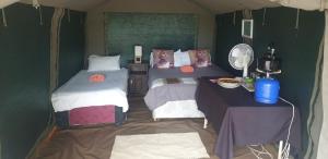Paradise Camp Rooms