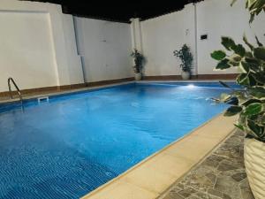 El Hady luxury apartment with swimming pool