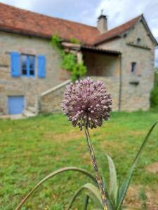 Maisons de vacances Authentique maison du Quercy : photos des chambres